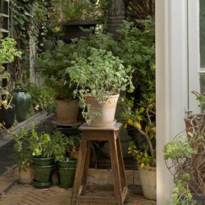 Bergs Potter Köpenhamn terrakottakrukor med pelargoner och gröna växter i trädgårdsmiljö.