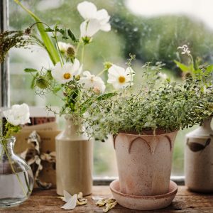 Bergs Potter Elizabeth kruka terrakotta 18cm