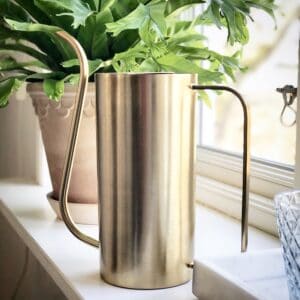 Elegant mässingsfärgad vattenkanna Elm från Nordal i fönster, placerad framför en dekorativ terrakottakruka med grön växt.