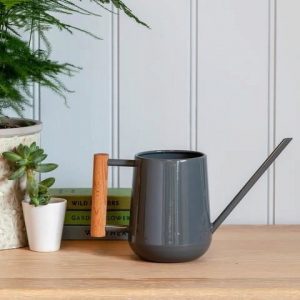 Vattenkanna grå stål, inomhus