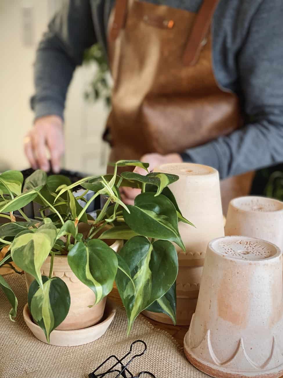 Terrakottakrukor från Bergs Potter