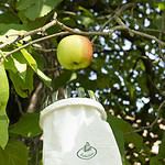 fruktplockare Esschert Design