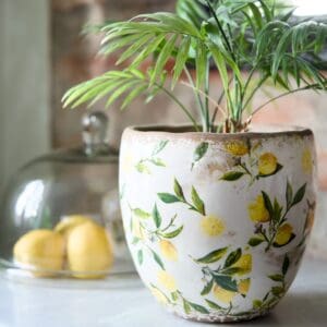Lemona Kruka från Affari of Sweden med en grön palm, placerad på ett bord med citroner under en glaskupa i bakgrunden.