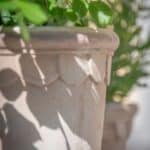 Detaljbild av terrakottakruka med dekorativ kant utomhus och grön plantering