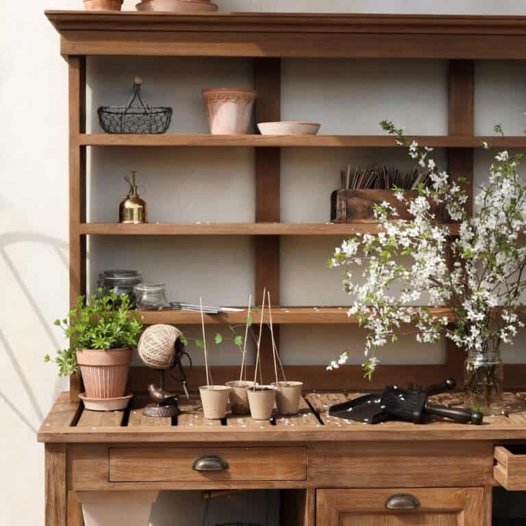Frösådd hemma med terrakottakrukor och små plantor på ett odlingsbord