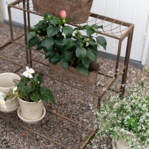 Blomhylla Valeria med växter och krukor i trädgård